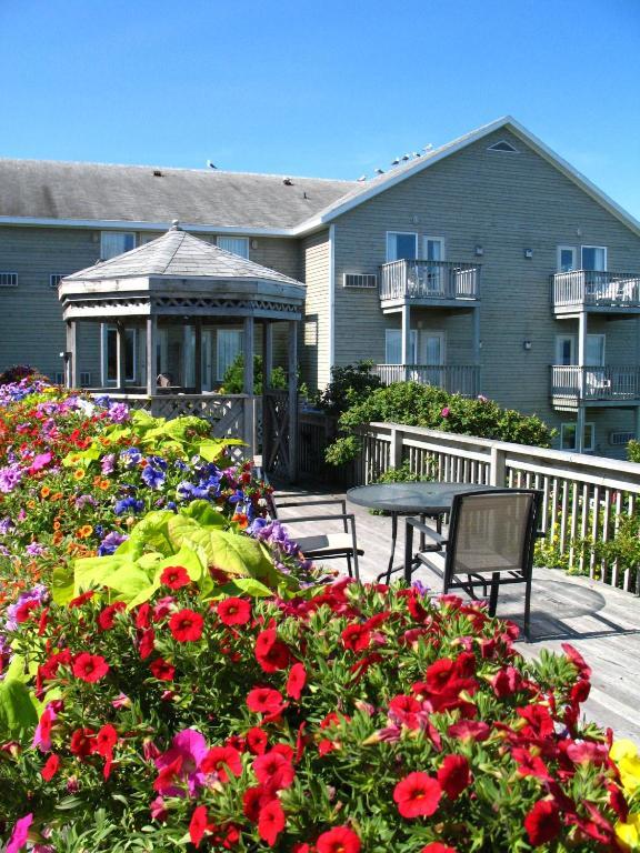 Station touristique Dundee & Golf Club West Bay